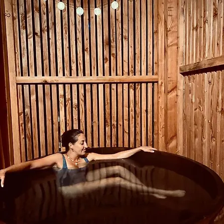 롯지 Les De La Viarhona / Cabane-spa *
