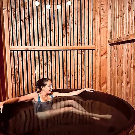 Les De La Viarhona / Cabane-spa 山林小屋 *