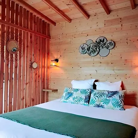 Les De La Viarhona / Cabane-spa 山林小屋 Virignin